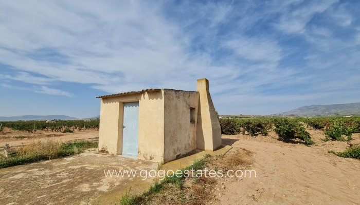 Revente - Terrain - Terrain - Pinoso - Pinoso Centro