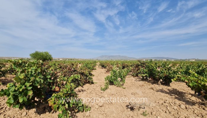 Revente - Terrain - Terrain - Pinoso - Pinoso Centro