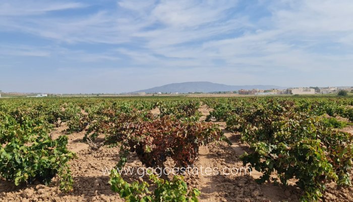 Revente - Terrain - Terrain - Pinoso - Pinoso Centro