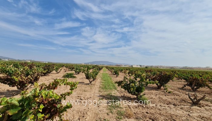 Revente - Terrain - Terrain - Pinoso - Pinoso Centro
