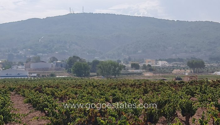 Revente - Terrain - Terrain - Pinoso - Pinoso Centro