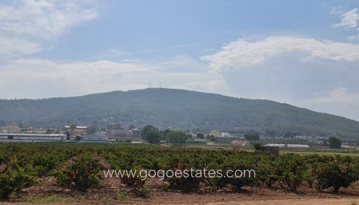 Revente - Terrain - Terrain - Pinoso - Pinoso Centro