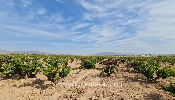 Revente - Terrain - Terrain - Pinoso - Pinoso Centro
