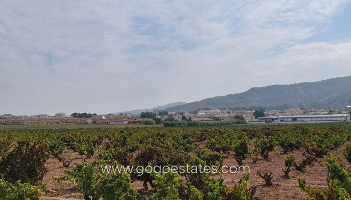 Revente - Terrain - Terrain - Pinoso - Pinoso Centro