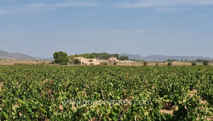 Te koop - Perceel - Land - Pinoso - Pinoso Centro