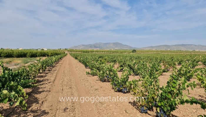 Te koop - Perceel - Land - Pinoso - Pinoso Centro