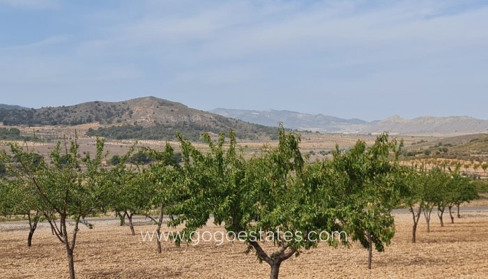 Te koop - Perceel - Land - Algorfa - Algueña