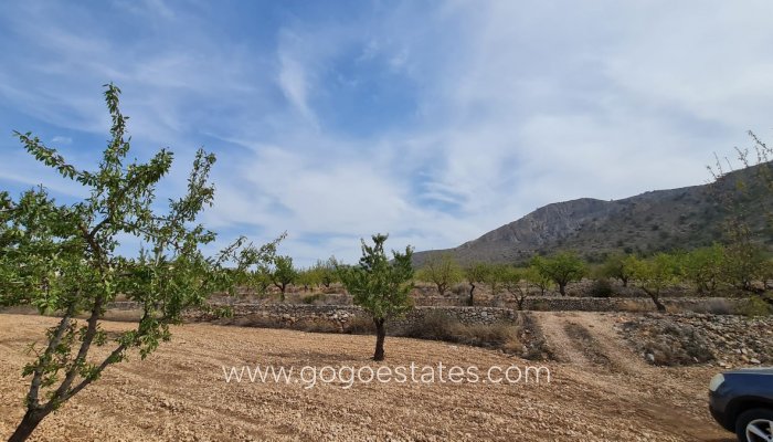 Te koop - Perceel - Land - Algorfa - Algueña