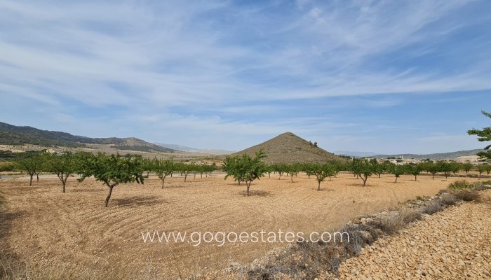 Te koop - Perceel - Land - Algorfa - Algueña