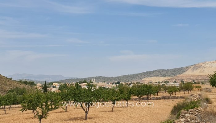 Te koop - Perceel - Land - Algorfa - Algueña