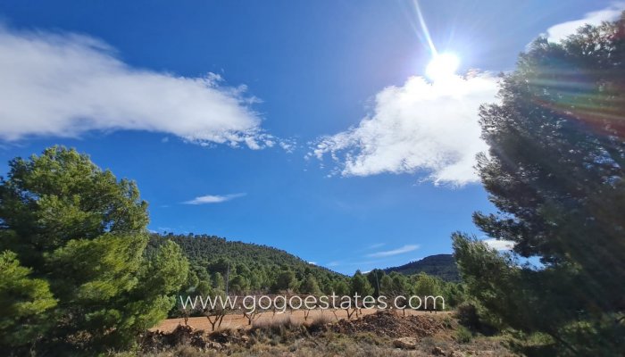 Te koop - Perceel - Land - Pinoso - Pinoso Centro