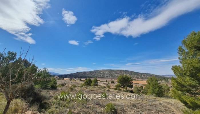 Te koop - Perceel - Land - Pinoso - Pinoso Centro