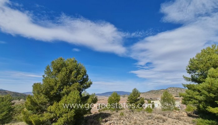 Te koop - Perceel - Land - Pinoso - Pinoso Centro