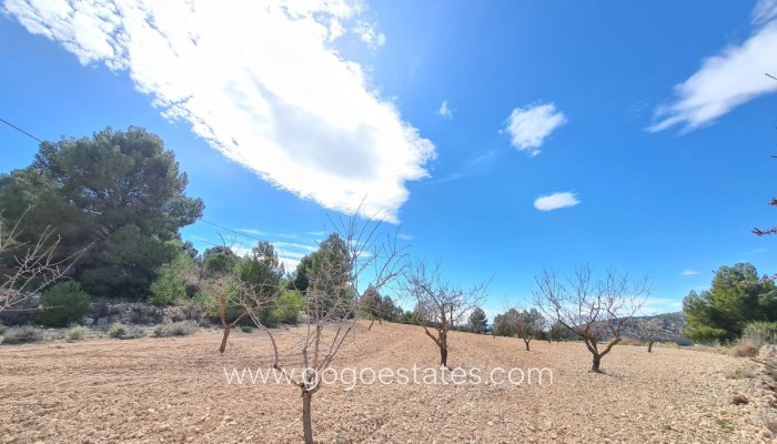 Te koop - Perceel - Land - Pinoso - Pinoso Centro