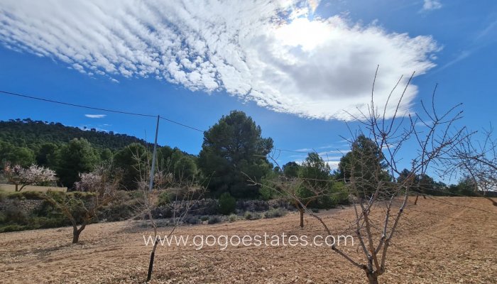 Te koop - Perceel - Land - Pinoso - Pinoso Centro