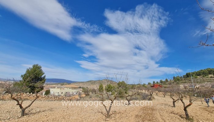 Te koop - Perceel - Land - Pinoso - Pinoso Centro