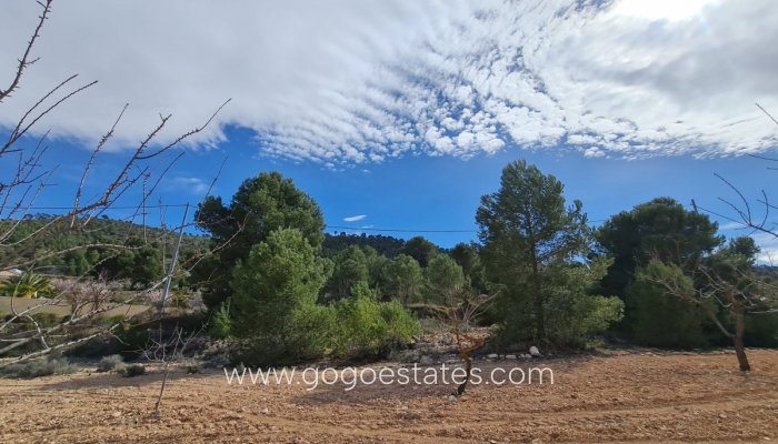 Te koop - Perceel - Land - Pinoso - Pinoso Centro