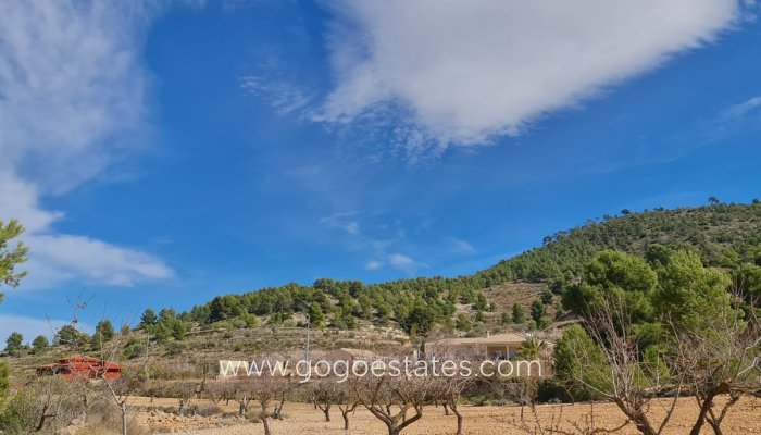 Te koop - Perceel - Land - Pinoso - Pinoso Centro