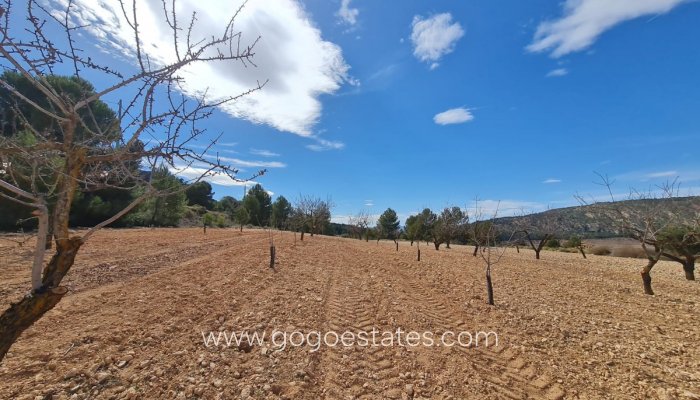 Te koop - Perceel - Land - Pinoso - Pinoso Centro