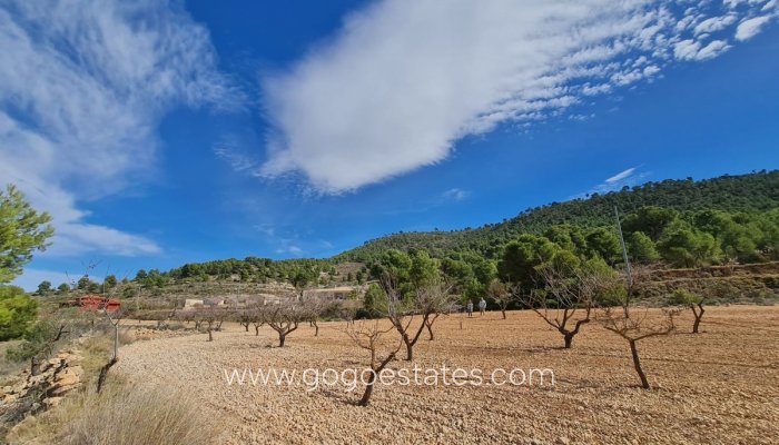 Te koop - Perceel - Land - Pinoso - Pinoso Centro