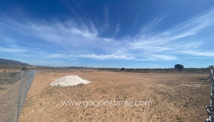 Te koop - Perceel - Land - Pinoso - Pinoso Centro