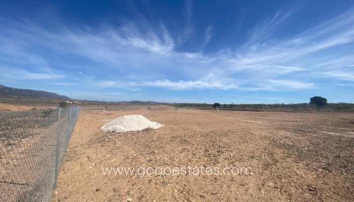 Te koop - Perceel - Land - Pinoso - Pinoso Centro