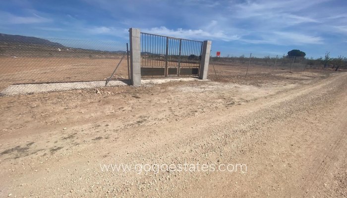 Te koop - Perceel - Land - Pinoso - Pinoso Centro