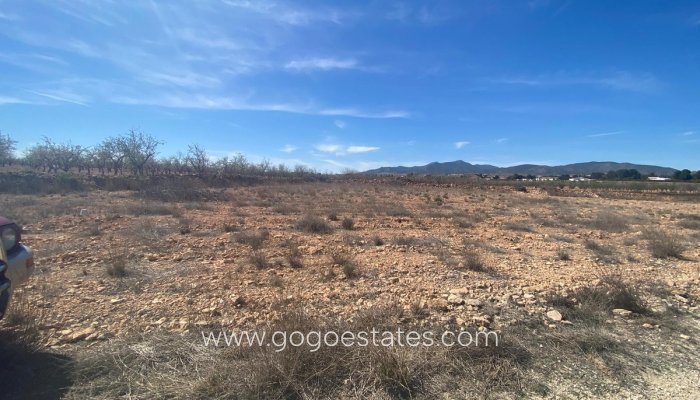 Te koop - Perceel - Land - Pinoso - Pinoso Centro