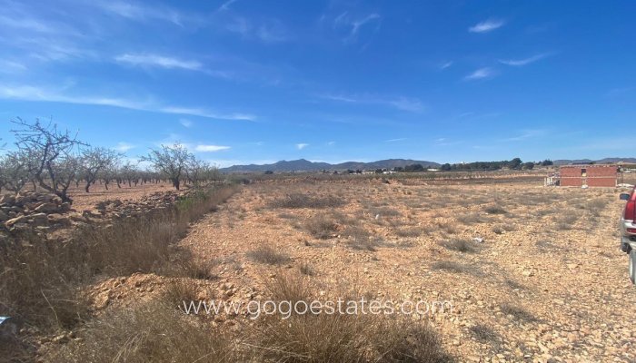Te koop - Perceel - Land - Pinoso - Pinoso Centro