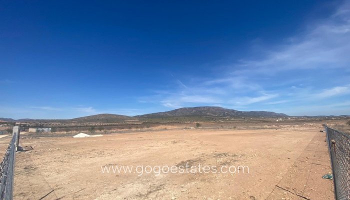 Te koop - Perceel - Land - Pinoso - Pinoso Centro