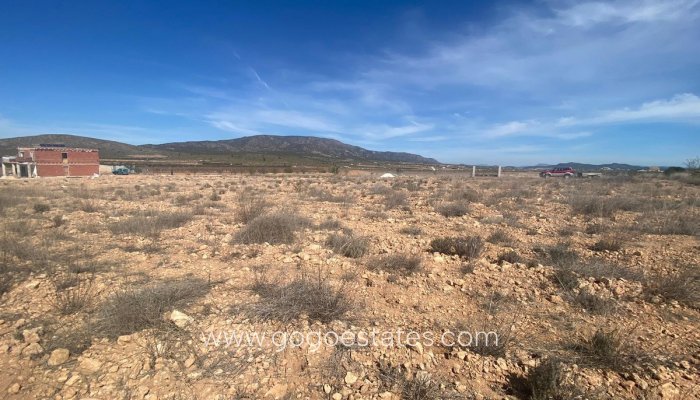 Te koop - Perceel - Land - Pinoso - Pinoso Centro