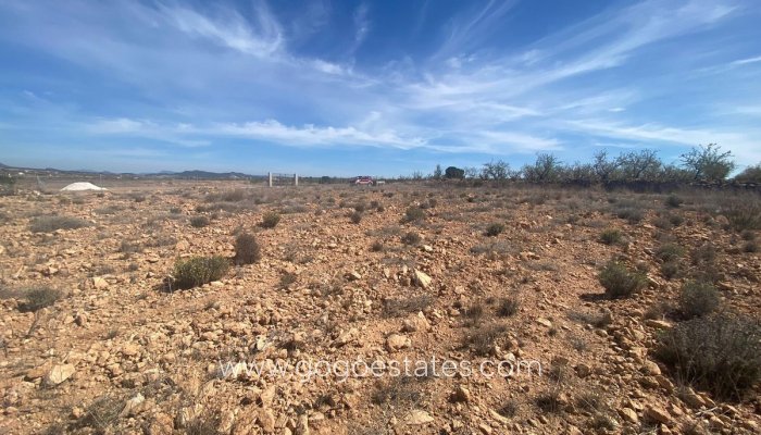 Te koop - Perceel - Land - Pinoso - Pinoso Centro