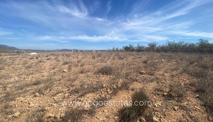 Te koop - Perceel - Land - Pinoso - Pinoso Centro