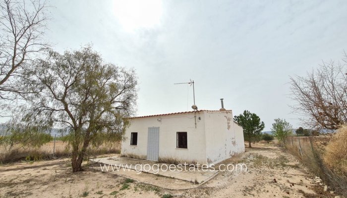 Te koop - Huis - Finca - Cortijo - Pinoso - Pinoso Centro