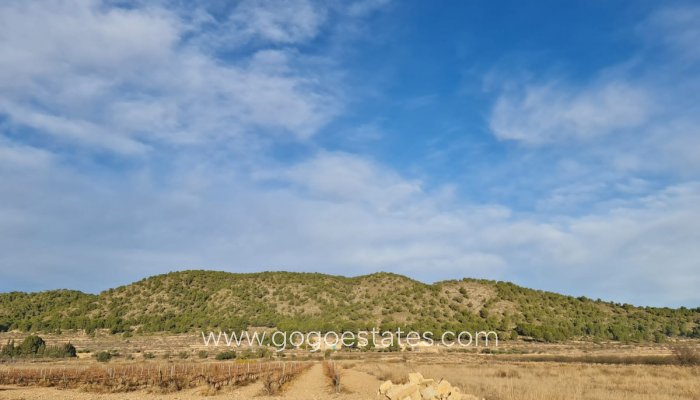 Te koop - Perceel - Land - Monóvar - Monòver - Monóvar - Monòver Centro