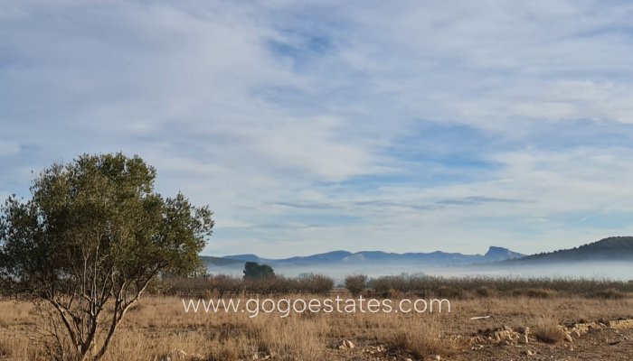 Te koop - Perceel - Land - Monóvar - Monòver - Monóvar - Monòver Centro