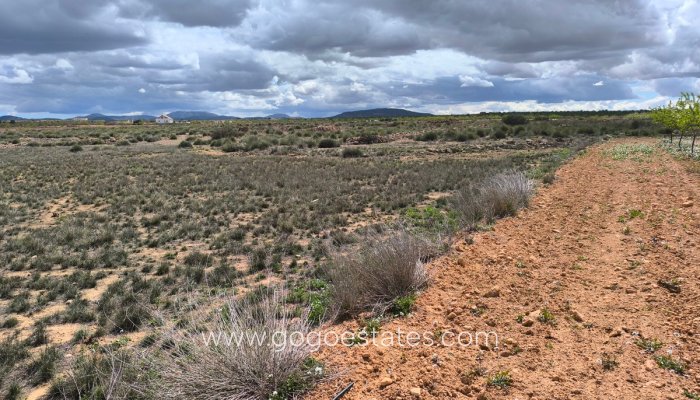 Te koop - Perceel - Land - Pinoso - Pinoso Centro