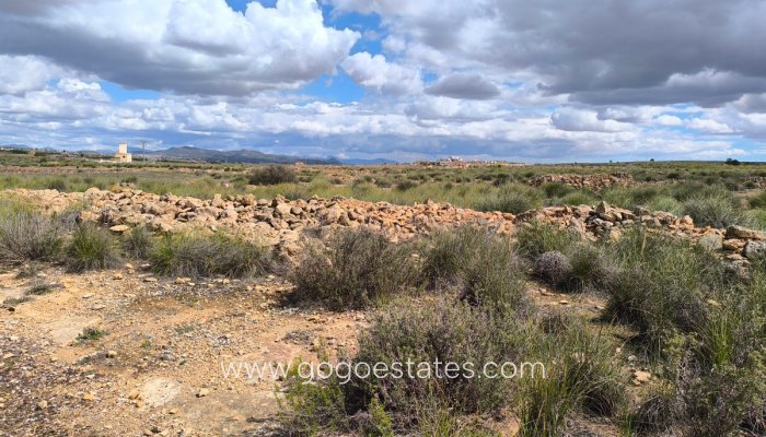 Te koop - Perceel - Land - Pinoso - Pinoso Centro