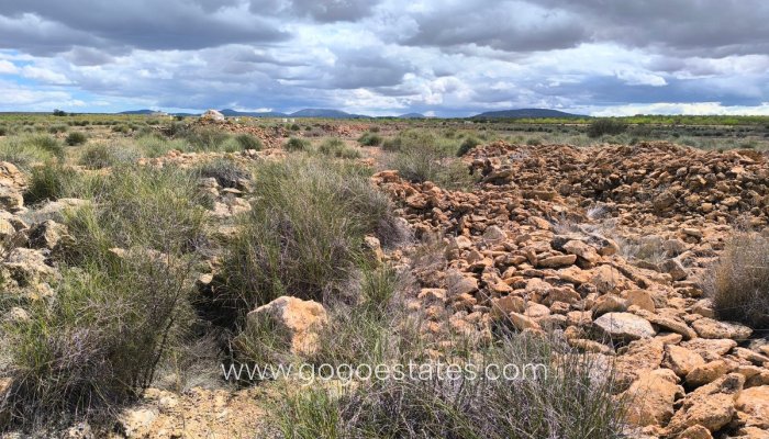 Te koop - Perceel - Land - Pinoso - Pinoso Centro