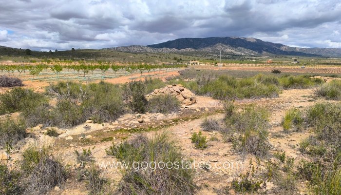 Te koop - Perceel - Land - Pinoso - Pinoso Centro