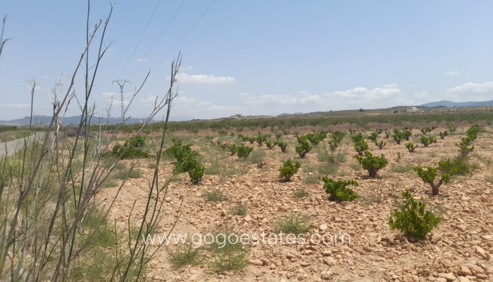 Te koop - Perceel - Land - Pinoso - Pinoso Centro