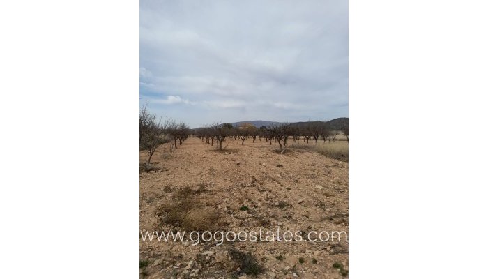 Te koop - Huis - Stadswoning - Monóvar - Monòver - Casas del Señor