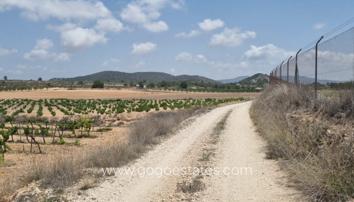 Te koop - Perceel - Land - Pinoso - Pinoso Centro