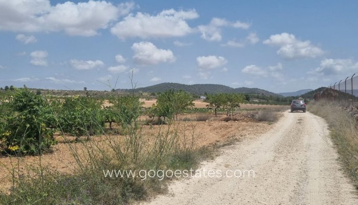 Te koop - Perceel - Land - Pinoso - Pinoso Centro