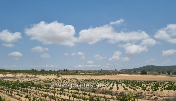 Te koop - Perceel - Land - Pinoso - Pinoso Centro