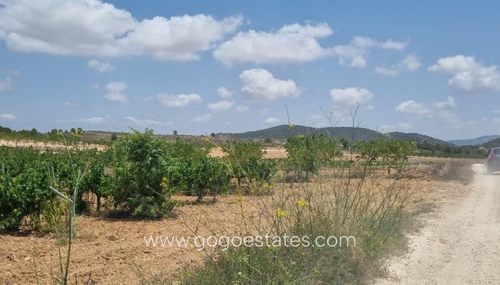 Te koop - Perceel - Land - Pinoso - Pinoso Centro