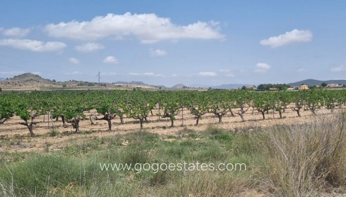 Te koop - Perceel - Land - Pinoso - Pinoso Centro