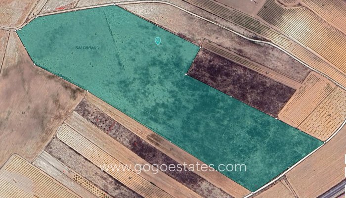 Te koop - Perceel - Land - Pinoso - Pinoso Centro