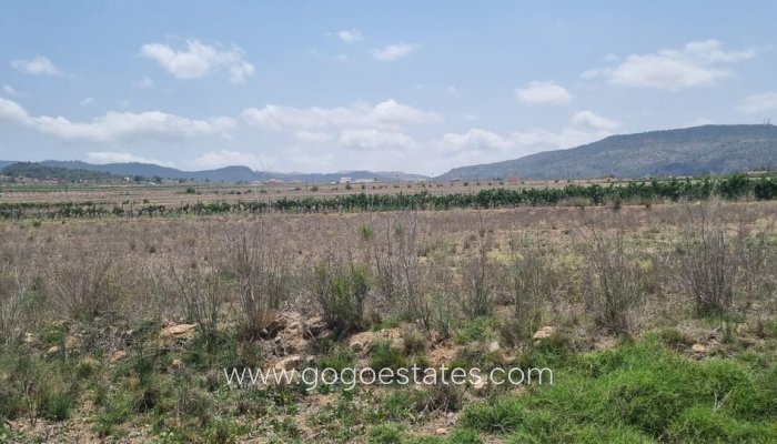 Te koop - Perceel - Land - Pinoso - Pinoso Centro