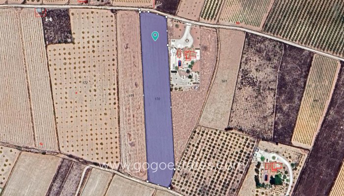 Te koop - Perceel - Land - Pinoso - Pinoso Centro